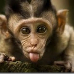 Profile picture of Chantal _